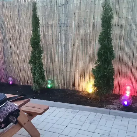 Dom wakacyjny Casa Dasoveanu Sulina