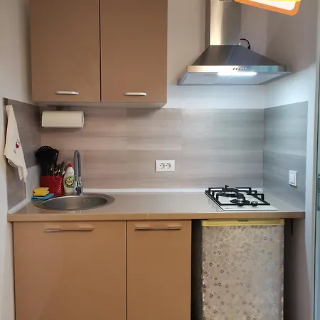 Case de vacanță Casa Dașoveanu *