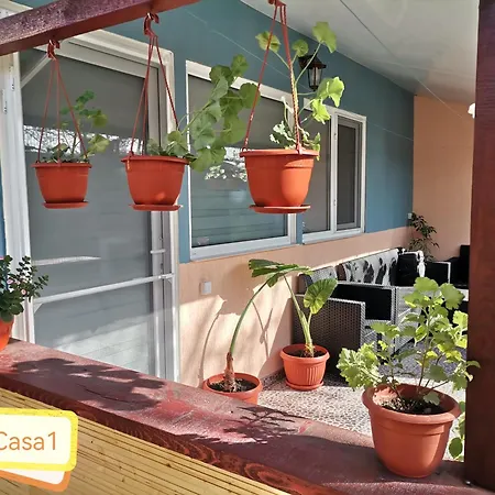 Casa Dasoveanu Σουλινάς