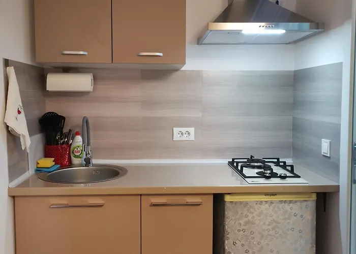 Prázdninový dům Casa Dasoveanu *