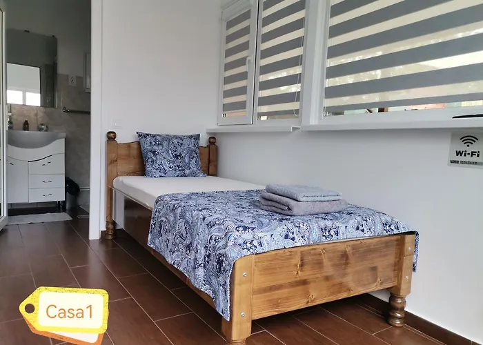 Prázdninový dům Casa Dasoveanu *