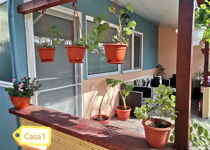 Casa Dasoveanu Sulina